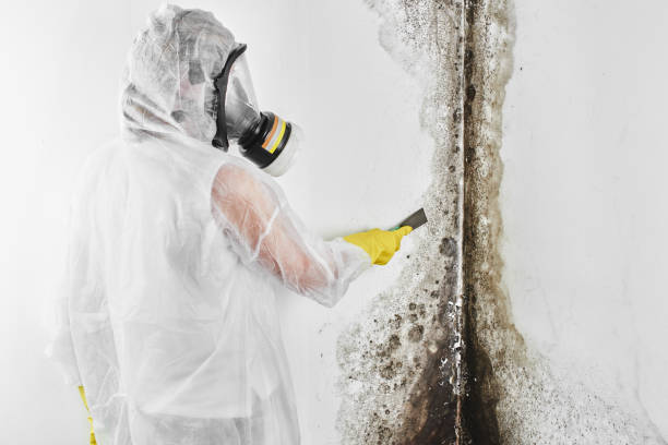 Oxford, OH Mold Remediation Company
