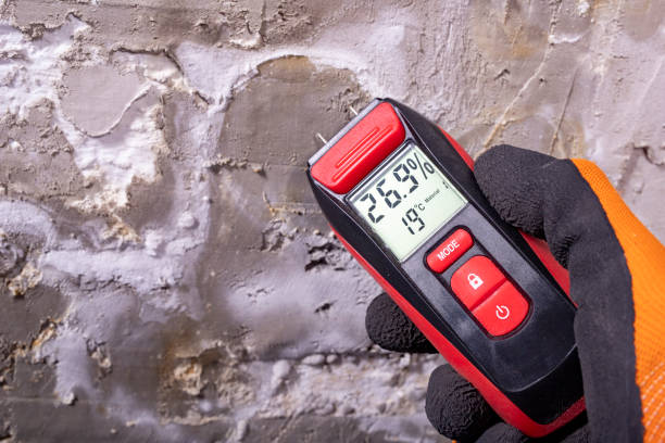 Best DIY Mold Remediation Support Services in Oxford, OH